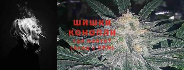 прущие грибы Карталы
