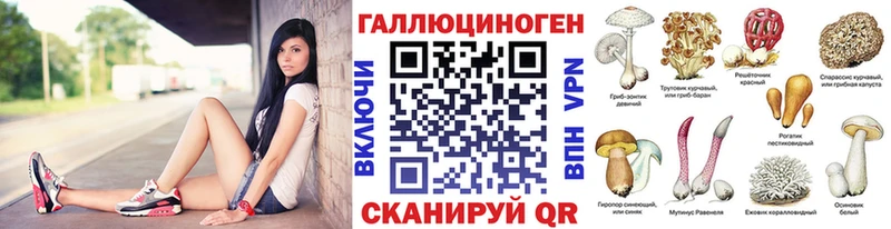 Псилоцибиновые грибы GOLDEN TEACHER Железноводск