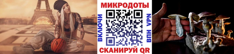 Купить где  Железноводск  Галлюциногенные грибы Cubensis 